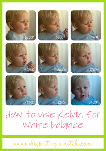 White Balance Kelvin Chart