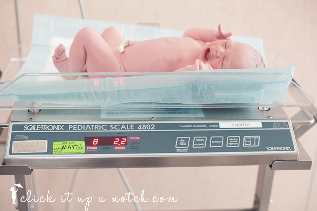 Birth photography shot of a new baby laying on the scale showing 8 pound, 2 oz.
